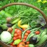 The Benefits of Growing your Own Natural Garden