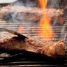 From Backyard Bliss to BBQ Brilliance Mastering the Art of Grilling