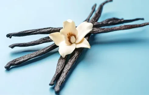 What are the Uses of Vanilla Beans / Vanilla Pods?