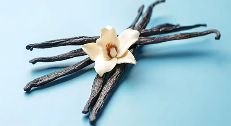 What are the Uses of Vanilla Beans / Vanilla Pods?